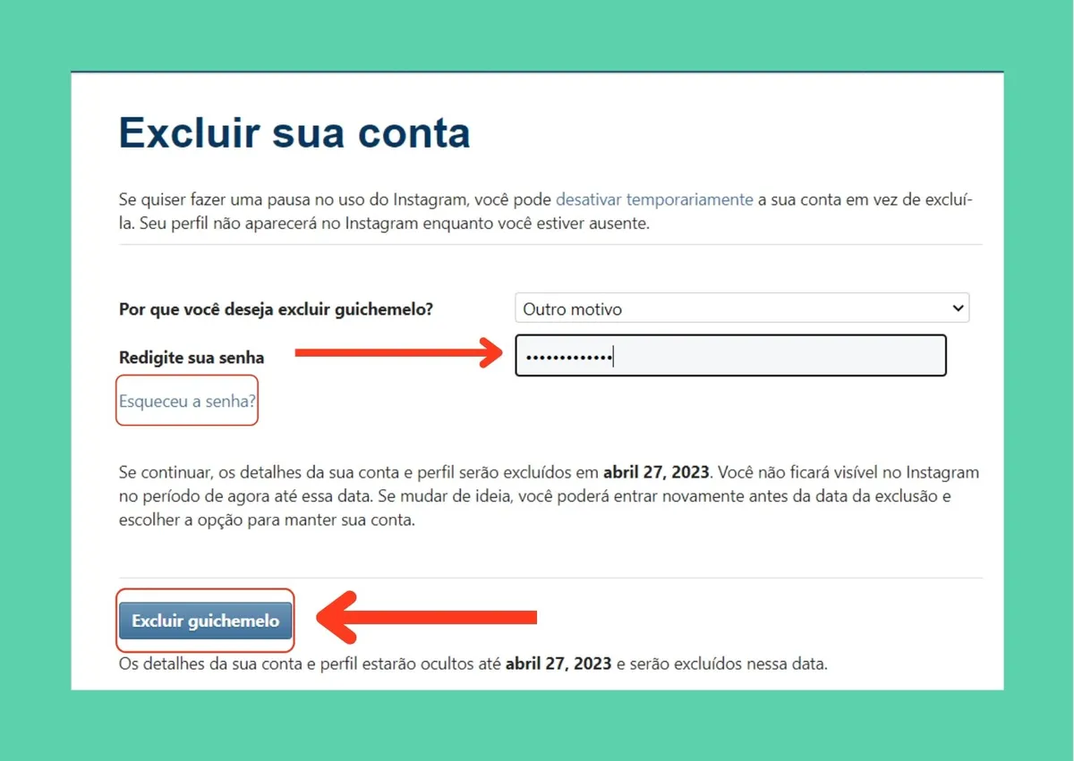 tela de exclusão do Instagram