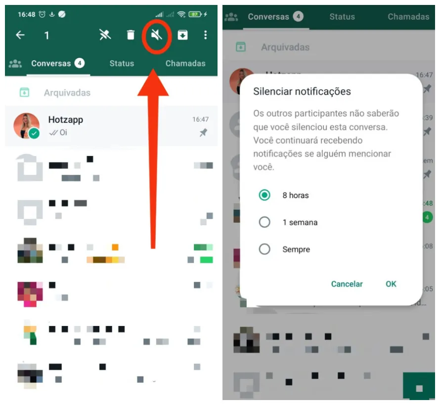 como silenciar contato no WhatsApp